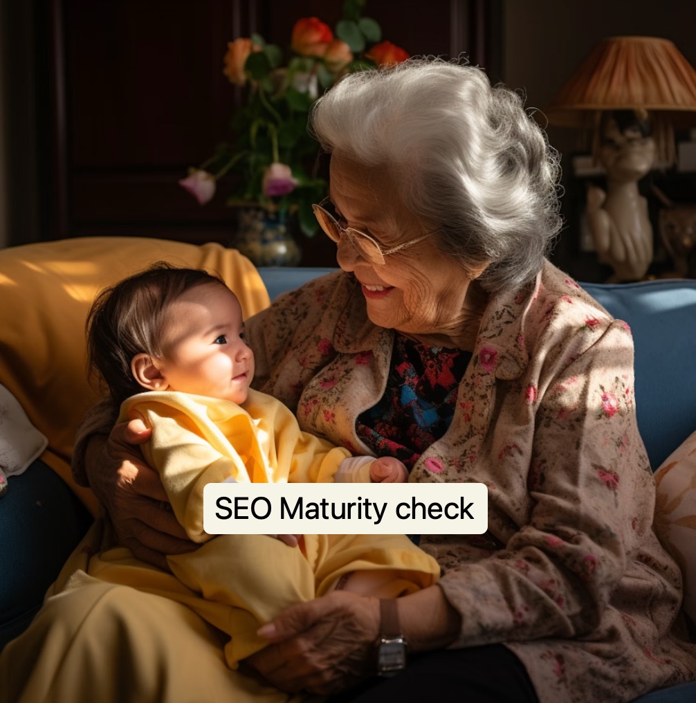 Matching SEO Maturity and SEO expectations